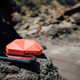 Image for article titled Exploring Santa Cruz Island